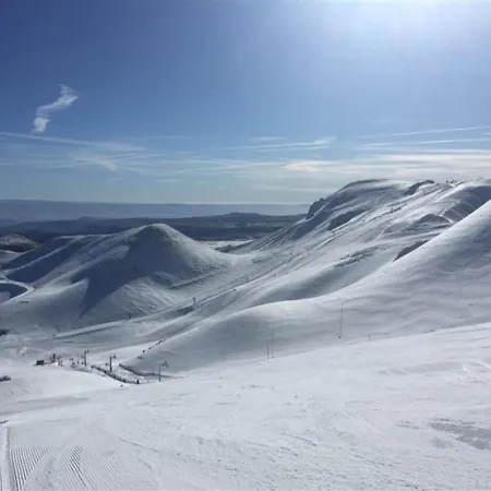 Διαμέρισμα Mont-dore, 3 Pieces, 4 Personnes - Fr-1-415-13 Le Mont-Dore